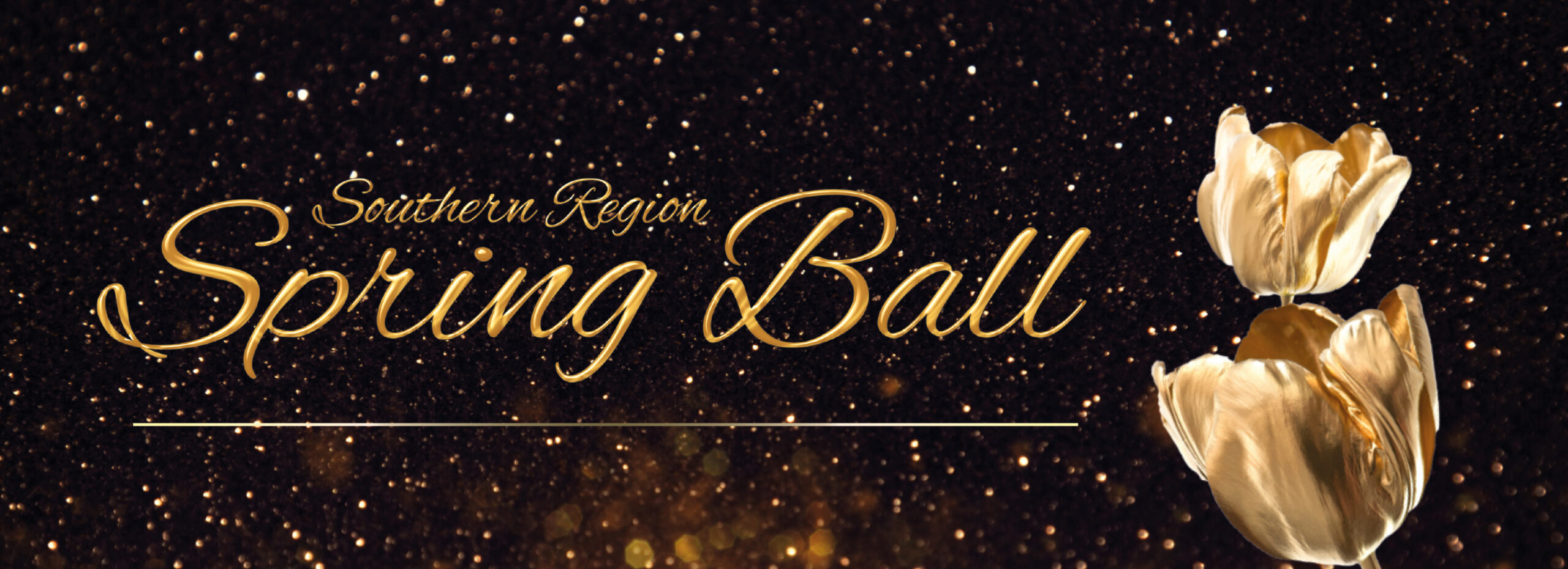SSB-STD_Web_Banner